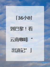 36小时到巴黎！看云南咖啡“出滇记”