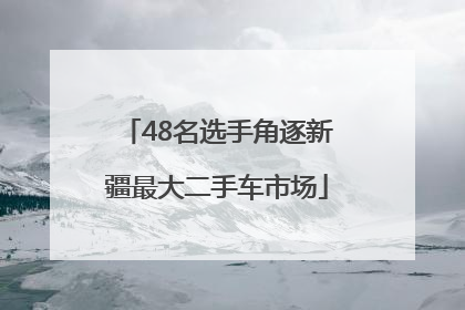 48名选手角逐新疆最大二手车市场