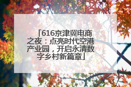 616京津冀电商之夜：点亮时代空港产业园，开启永清数字乡村新篇章