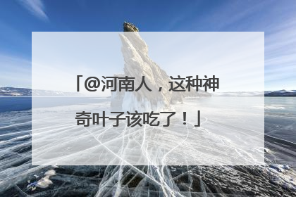 @河南人，这种神奇叶子该吃了！