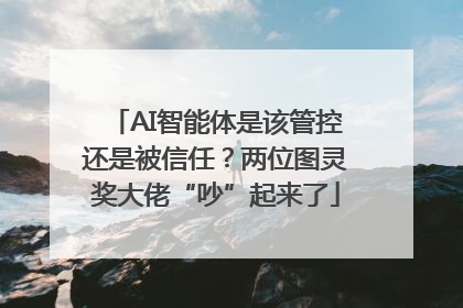 AI智能体是该管控还是被信任？两位图灵奖大佬“吵”起来了