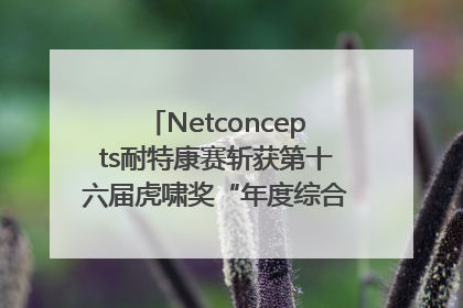 Netconcepts耐特康赛斩获第十六届虎啸奖“年度综合服务商”大奖